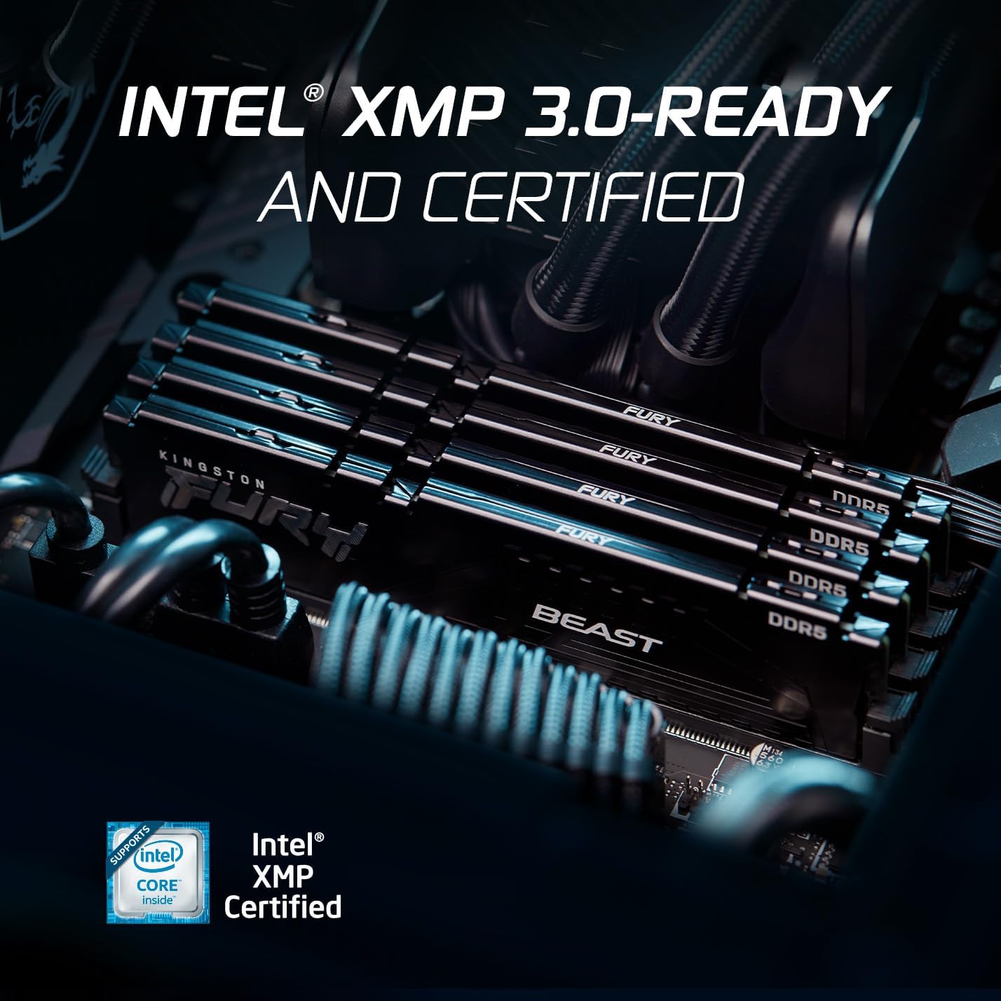 Memorie RAM Kingston FURY Beast 32GB (2x16GB) DDR5 6000MT/s CL30 për Desktop | Mbështet AMD EXPO | Kit me 2 Module (KF560C30BBEK2-32)