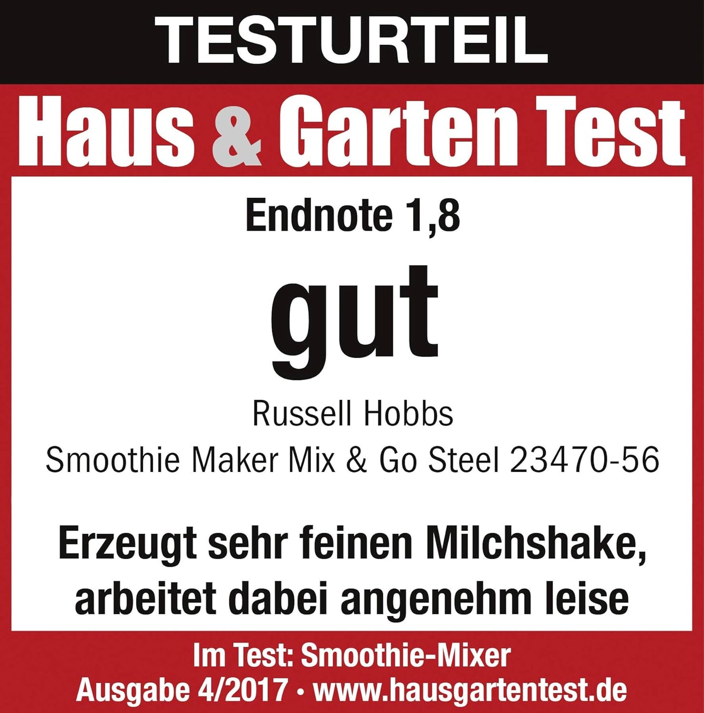 Russell Hobbs Mix & Go Steel – Blender / Smoothie Maker (300 W), Çelik inox, përfshihet 1 shishe pijesh 600 ml